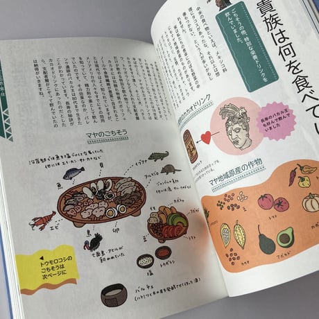書籍 「知られざるマヤ文明ライフ」