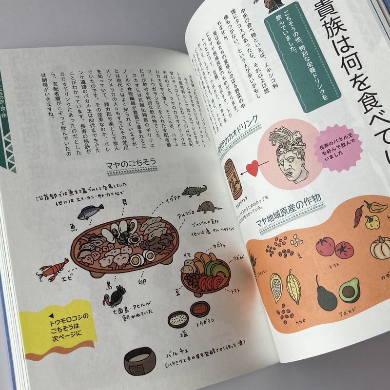 書籍 「知られざるマヤ文明ライフ」 | aka yu ka