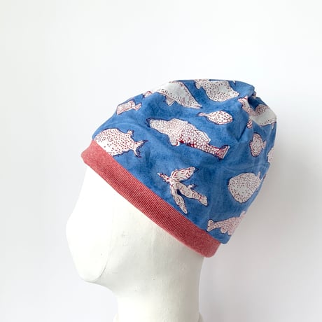 Twist beanie   fish blue × red  L(57~60)