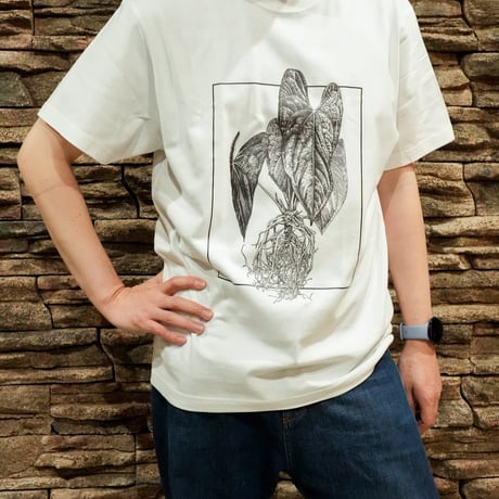 アンスリウム　フェス　チャプター2 イベントT