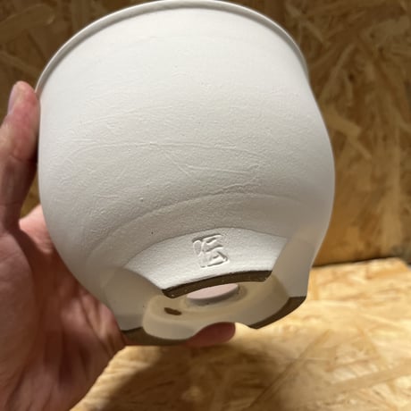 伝市鉢　コウロ型　サクラ草　白化粧　4号