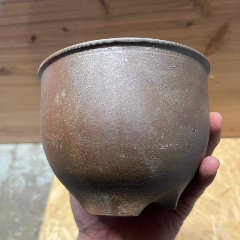 伝市鉢 コウロ型 4号 登窯 | GREEN LUCK