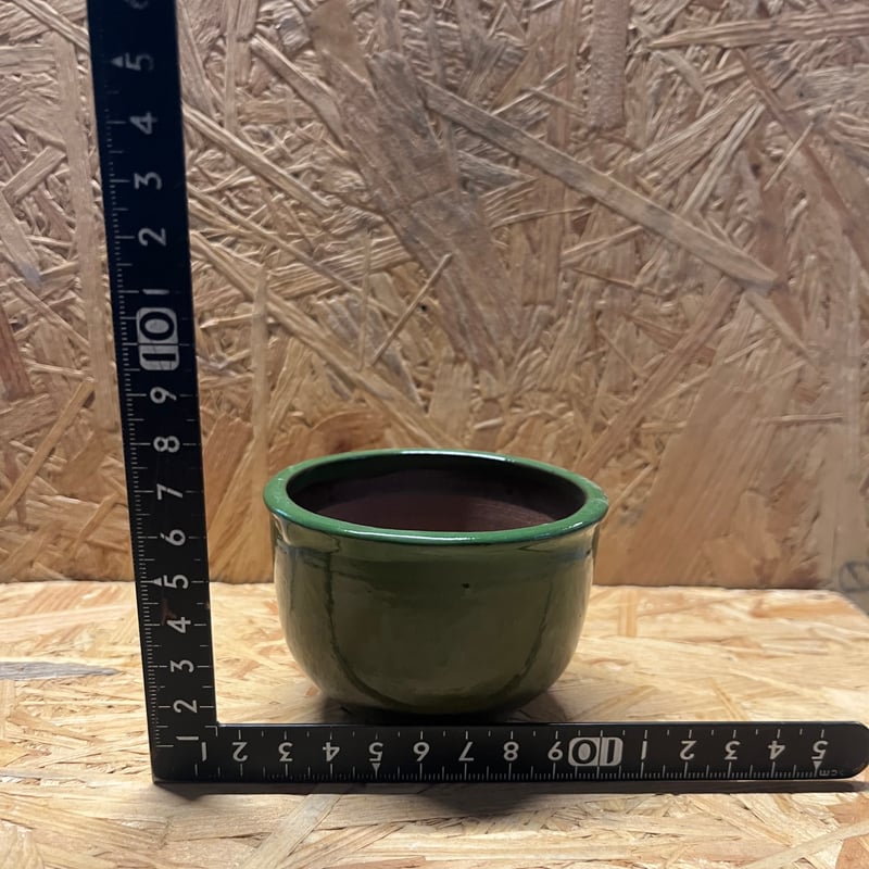 伝市鉢 コウロ型 2.5号 別注グリーン | GREEN LUCK