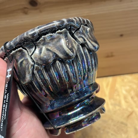 Wild Heaven 陶器鉢　BULB×SHINOGI
