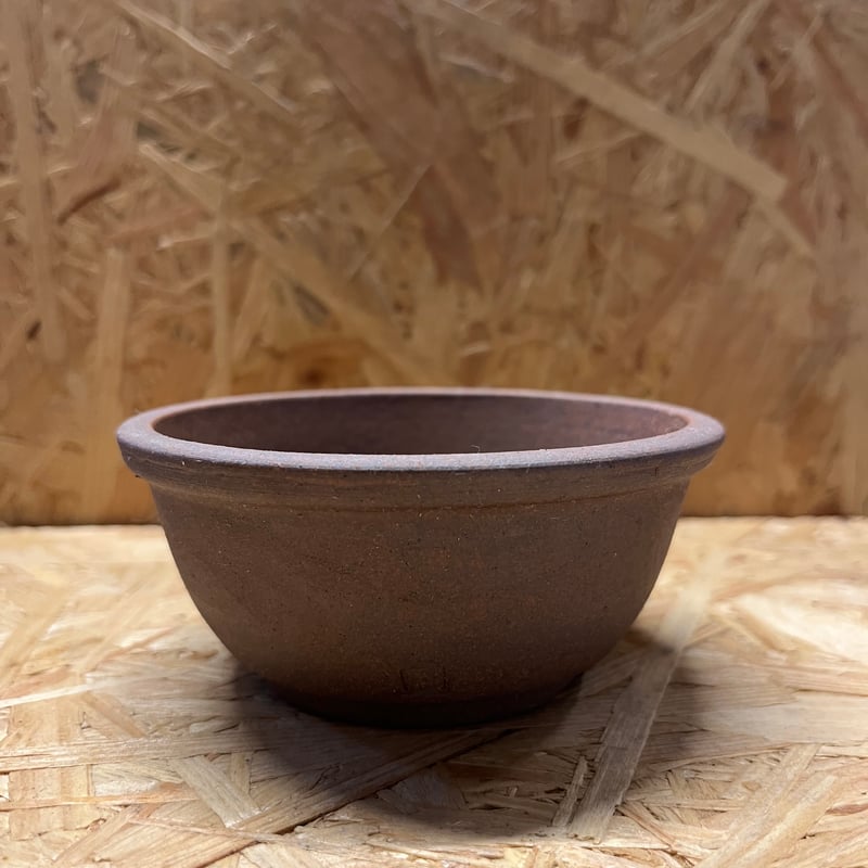皐月　サツキ　盆栽　5.5号陶器鉢つき　幹太❗　① 伝市鉢 サツキ鉢 3.5号 | GREEN LUCK