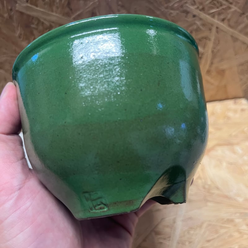 伝市鉢 コウロ型 3.5号 別注グリーン | GREEN LUCK