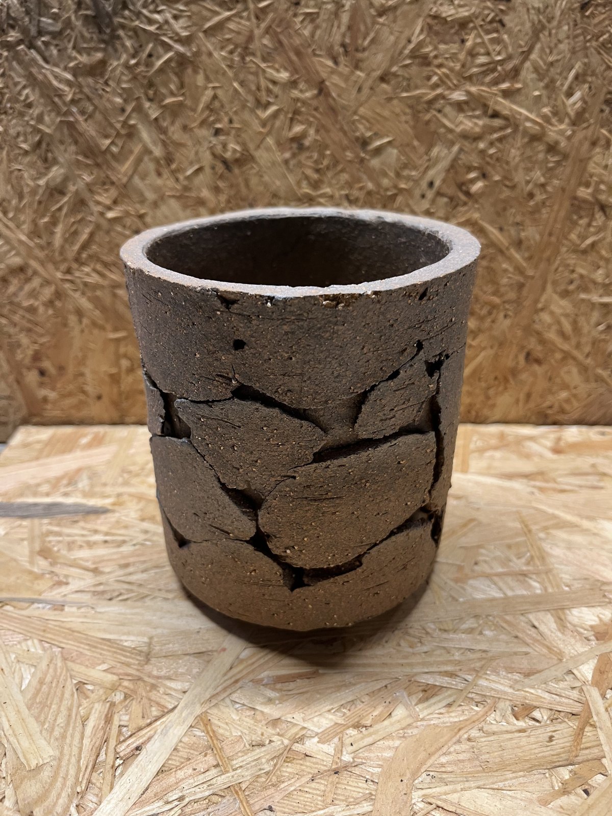 鉢付 グラキリス 塊根 グラキ 信楽焼 COMWORK STUDIO コムワーク 鉢付