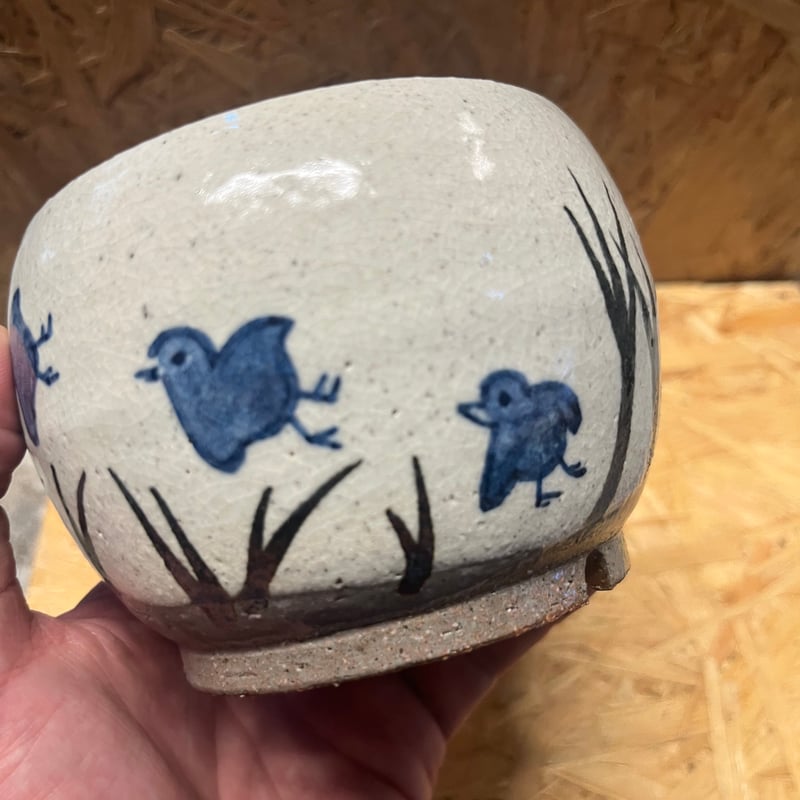 信楽焼き（かみ山陶器）✖️ ブーファン ディスティチャ かみ山陶器 信楽焼 植木鉢 | GREEN LUCK