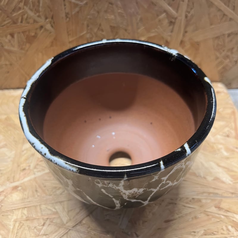 伝市鉢 コウロ型 4号 丹波黒流し | GREEN LUCK