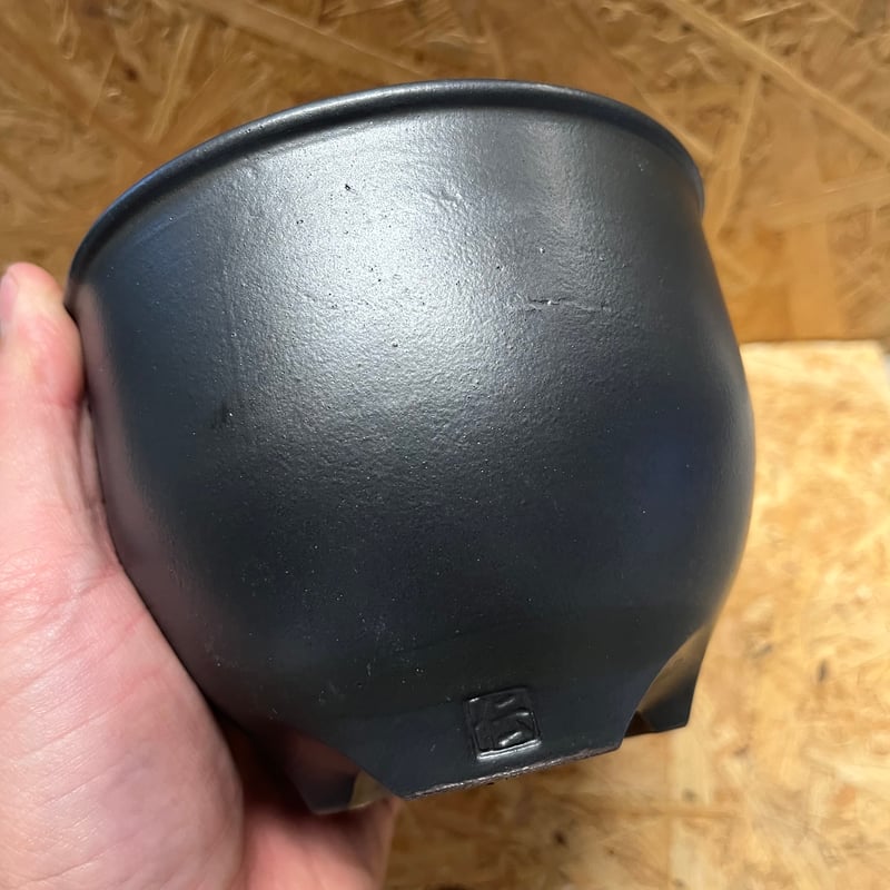 黒王丸 伝市鉢 楽天市場】伝市鉢 コウロ型【ブラック】2.5号 市野伝市窯 特注