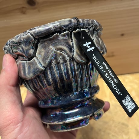Wild Heaven 陶器鉢　BULB×SHINOGI