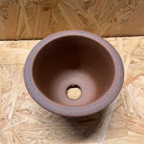 伝市鉢　丸型　2.5号