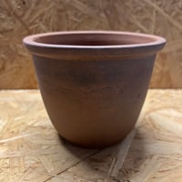 伝市鉢　丸型　3.5号