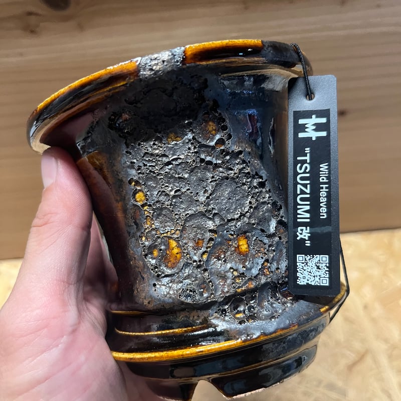 Wild Heaven 陶器鉢 TSUZUMI 3.5号 | GREEN LUCK