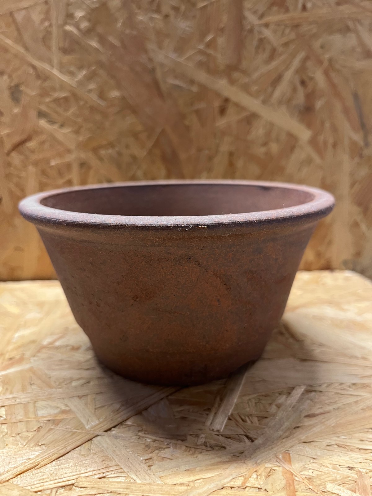 黒王丸 伝市鉢 伝市鉢 – DELTA PLANTS