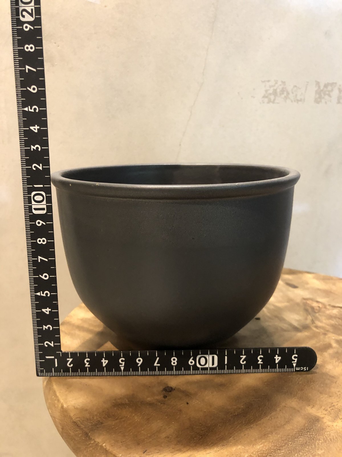 伝市鉢 コウロ型 サクラ草 5号 黒化粧 | GREEN LUCK