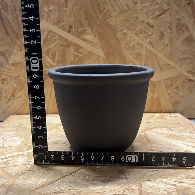 伝市鉢 丸型 黒化粧 3.5号 | GREEN LUCK