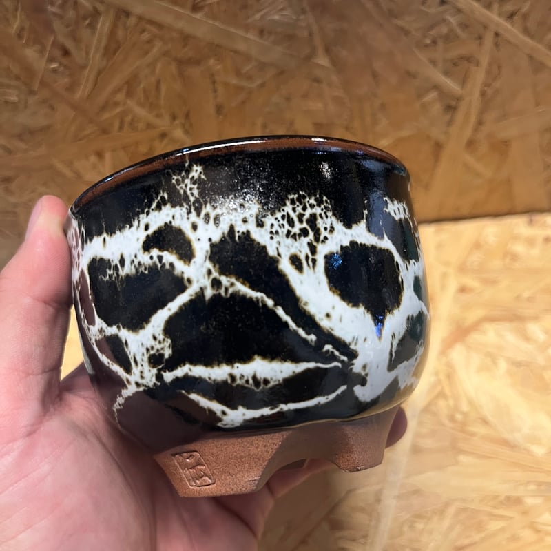 伝市鉢 コウロ型 3号 丹波黒流し | GREEN LUCK