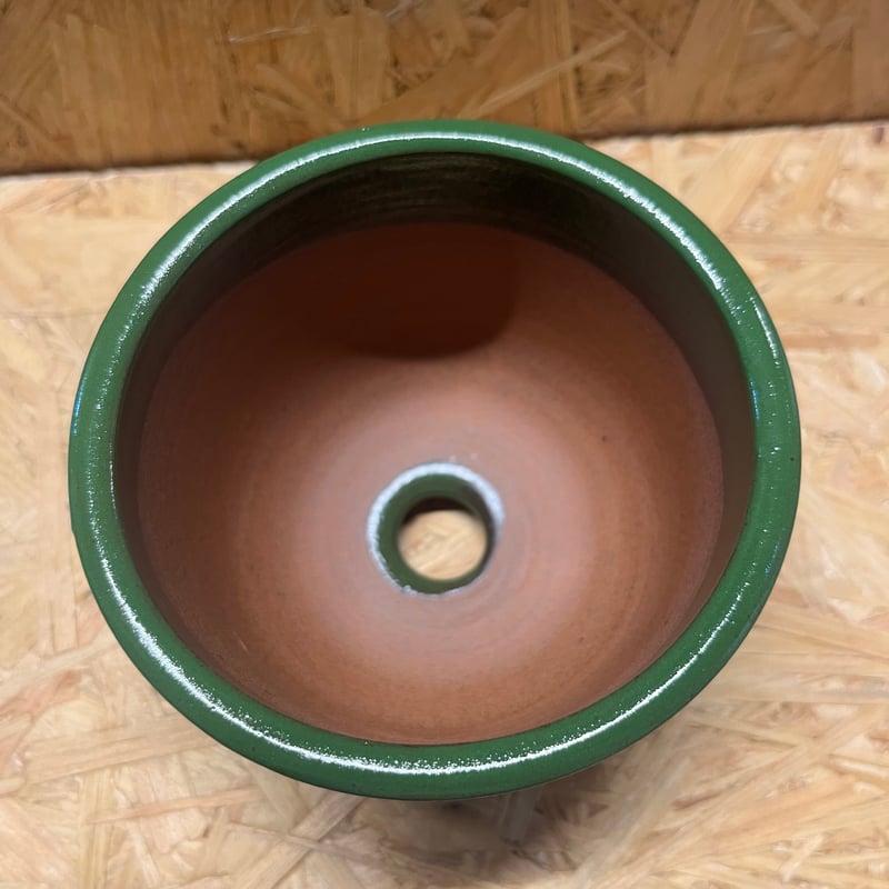 伝市鉢 コウロ型 3.5号 別注グリーン | GREEN LUCK