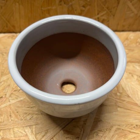 伝市鉢　コウロ型　3号　白化粧　艶消し