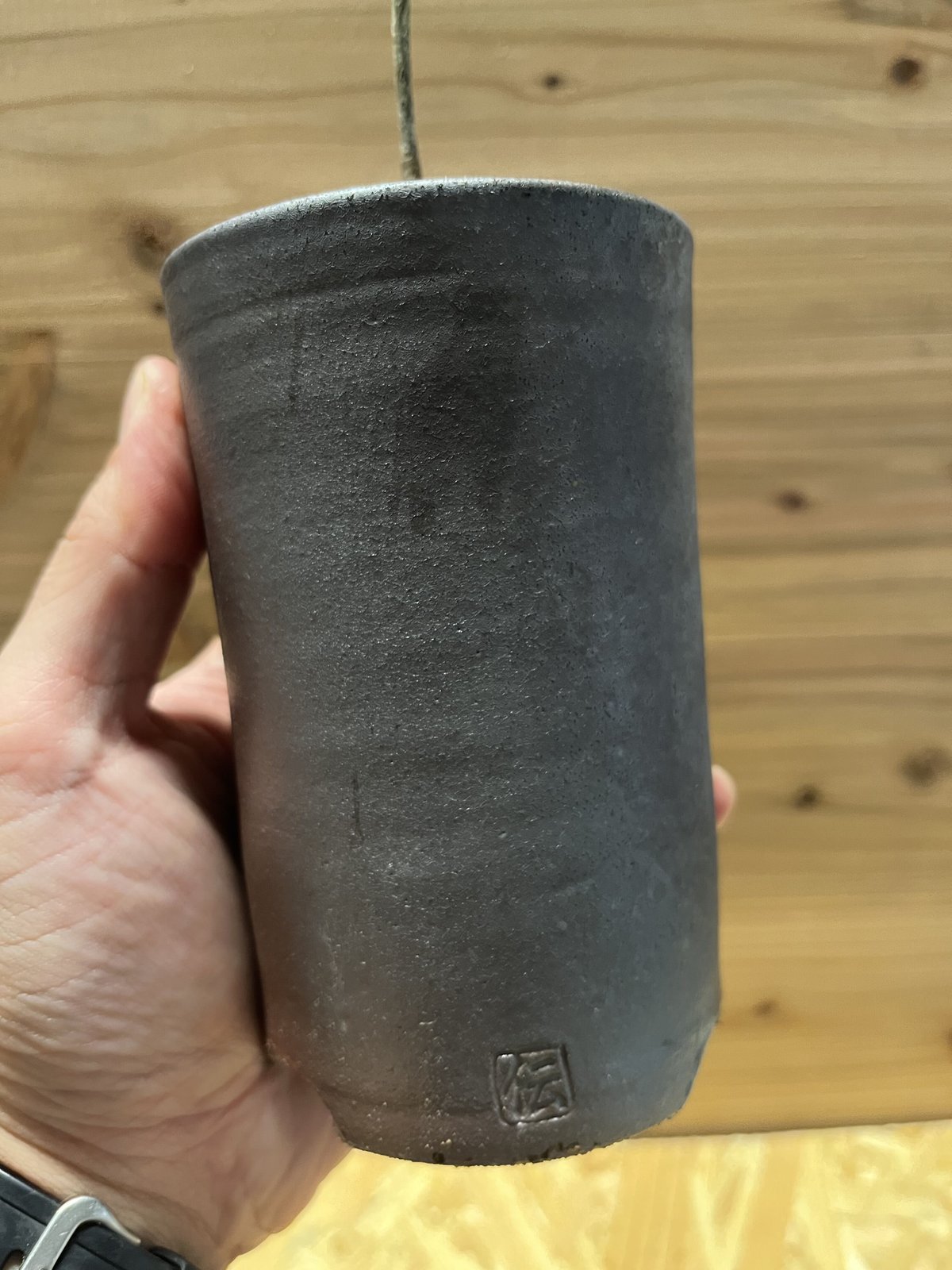 【実生・鉢ごと】オペルクリカリア　パキプス オペルクリカリア パキプス 実生×伝市鉢 | GREEN LUCK