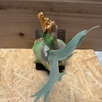 ディオーン エデュレ | GREEN LUCK