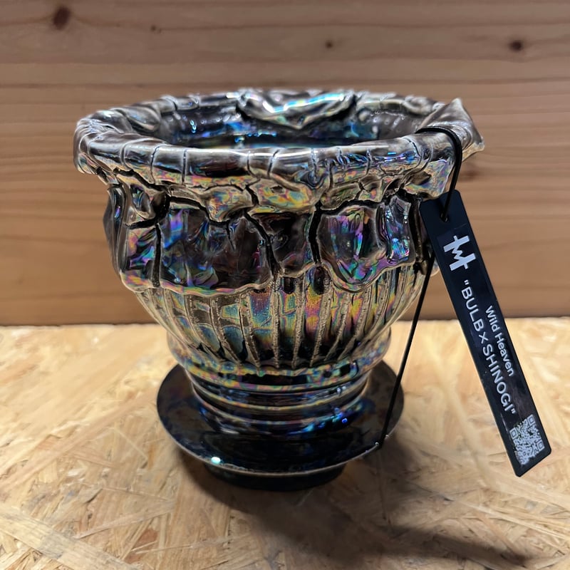 Wild Heaven 陶器鉢 BULB×SHINOGI | GREEN LUCK