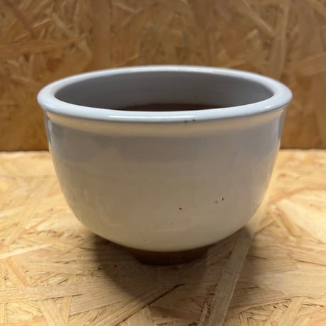 伝市鉢　コウロ型　3号　白化粧　艶消し
