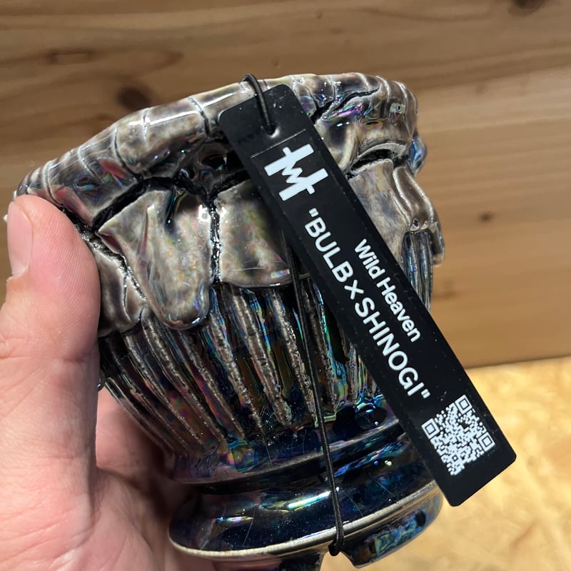 Wild Heaven 陶器鉢 BULB×SHINOGI | GREEN LUCK