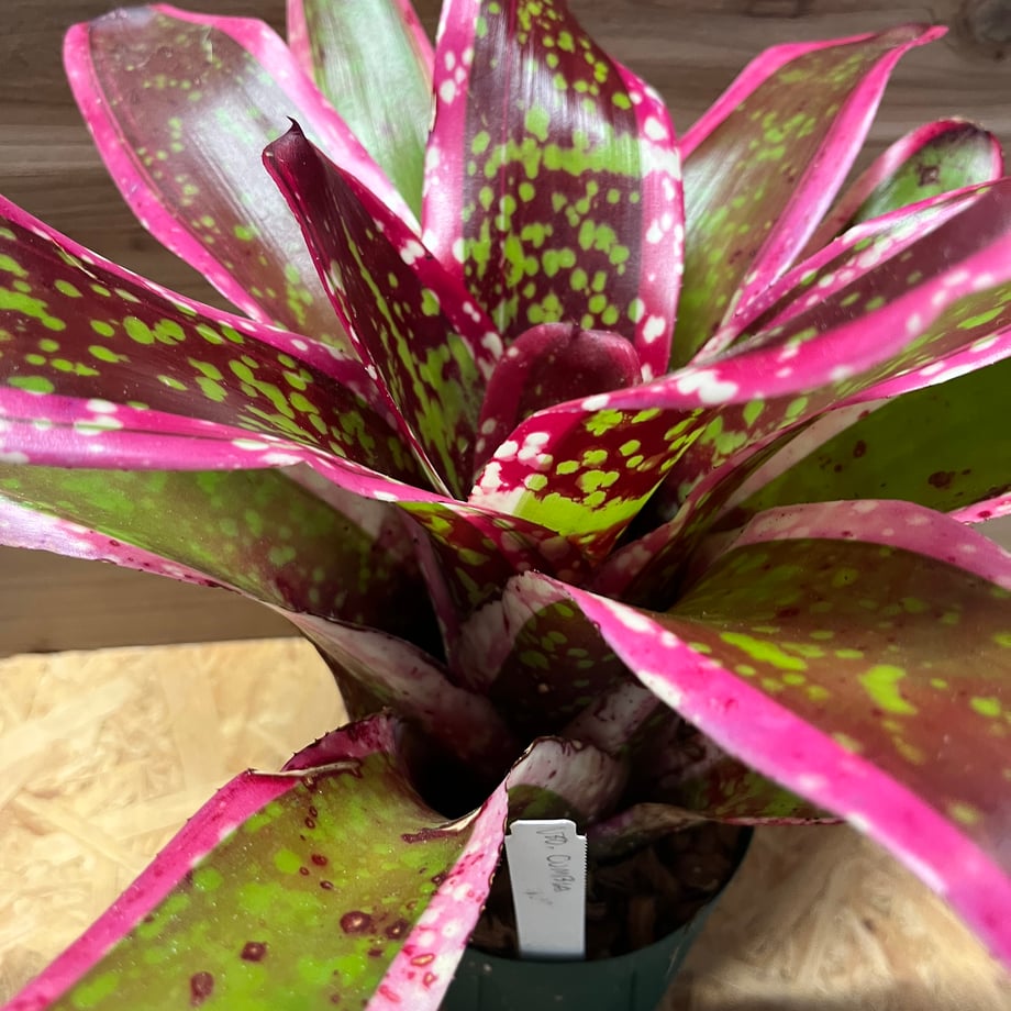 67f9dc91a1be0ebdeba89cd2