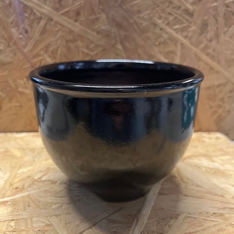 0021 伝市鉢　未使用品新品 CATEGORY 伝市窯 伝市鉢 | GREEN LUCK