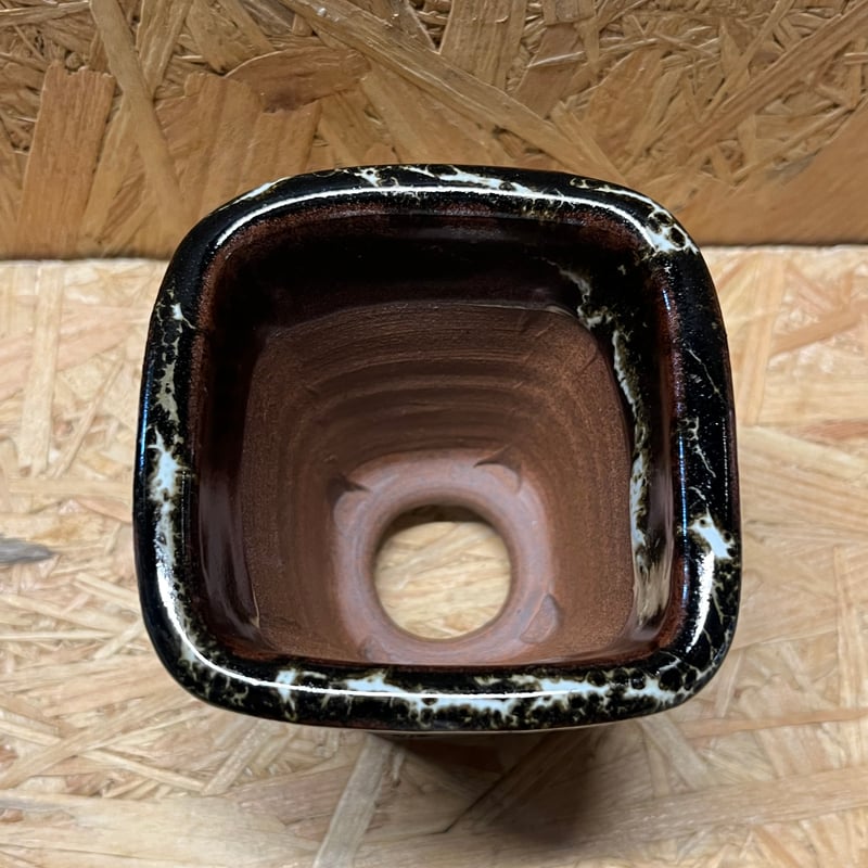 黒王丸 伝市鉢 コピアポア シネレア 黒王丸×伝市鉢 | GREEN LUCK