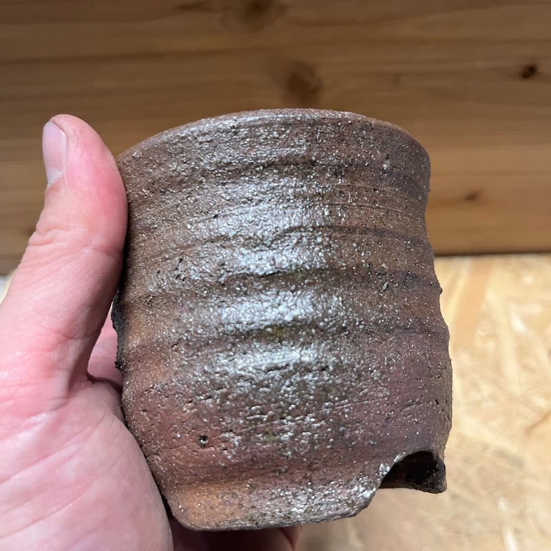 伝市鉢 エビネ型 3号 登窯 | GREEN LUCK