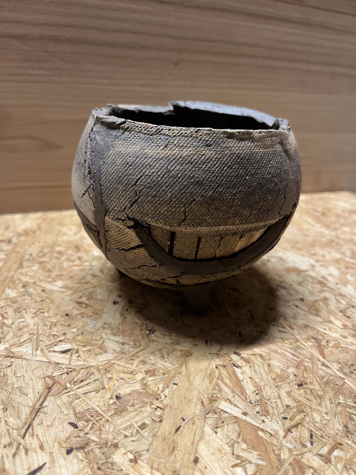 希少BIG 新品 信楽焼 鉢COMWORK STUDIO コムワーク 陶器 塊根 fit=scale-down,w=1200