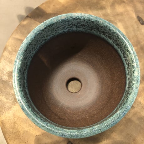 伝市鉢　コウロ型　サクラ草　3号