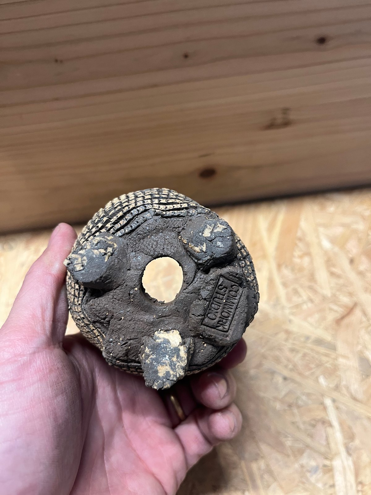 COMWORK STUDIO 信楽焼 植木鉢 | GREEN LUCK