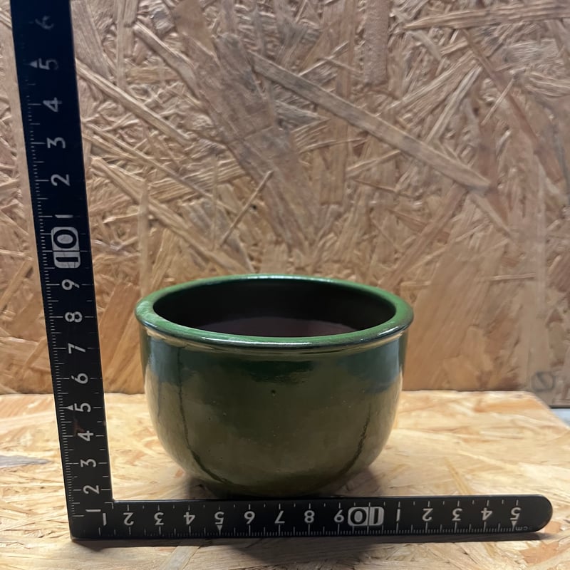 コウ　再出品 伝市鉢 コウロ型 3号 別注グリーン | GREEN LUCK