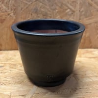 伝市鉢　シャジン型　3.5号　黒艶消し