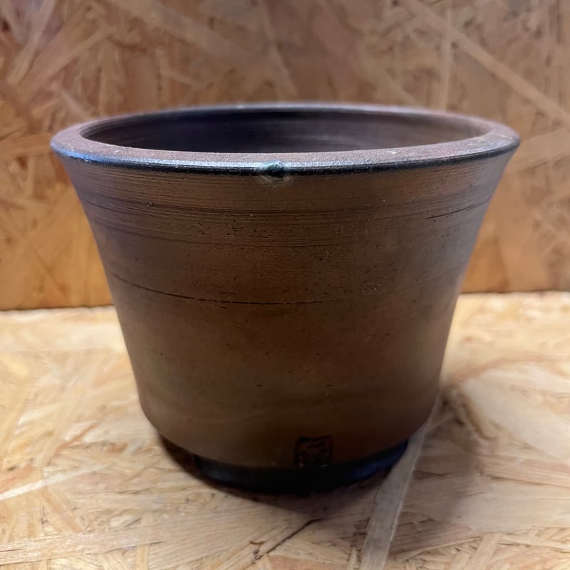 伝市鉢 シャジン型 4号 登窯 | GREEN LUCK