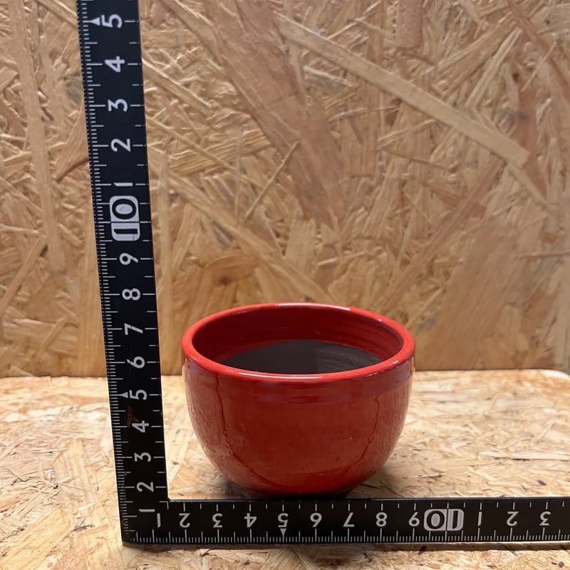 伝市鉢 コウロ型 2.5号 別注カラー | GREEN LUCK