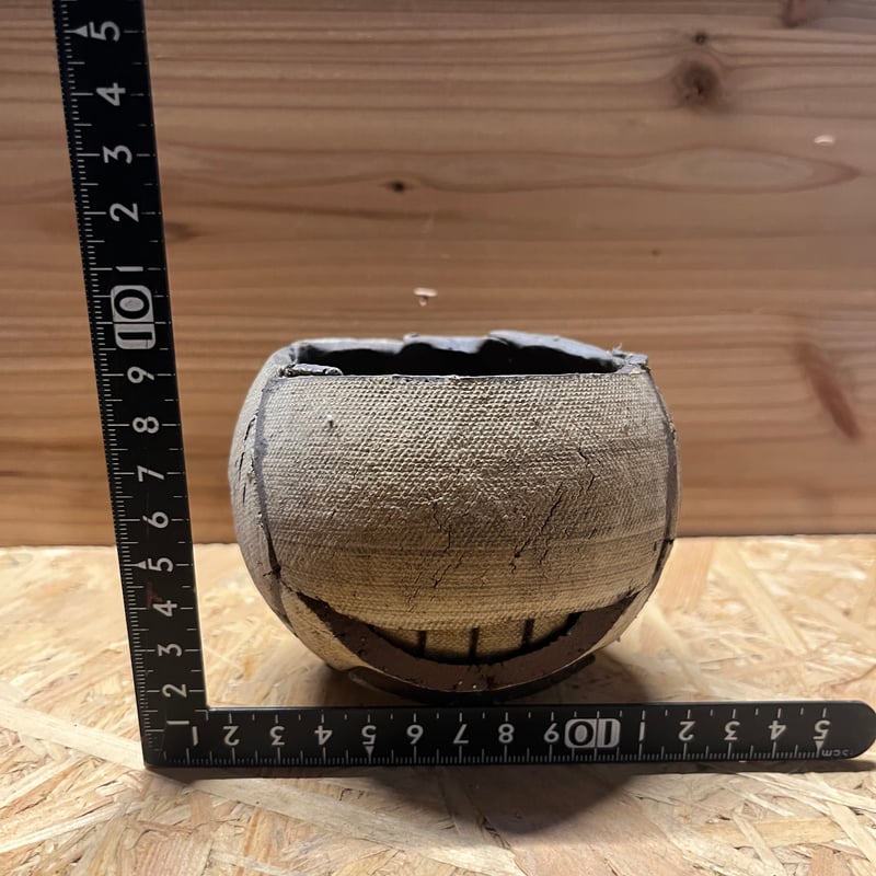 希少 新品 信楽焼 鉢COMWORK STUDIO コムワーク 陶器 塊根 COMWORK STUDIO 信楽焼 植木鉢 | GREEN LUCK