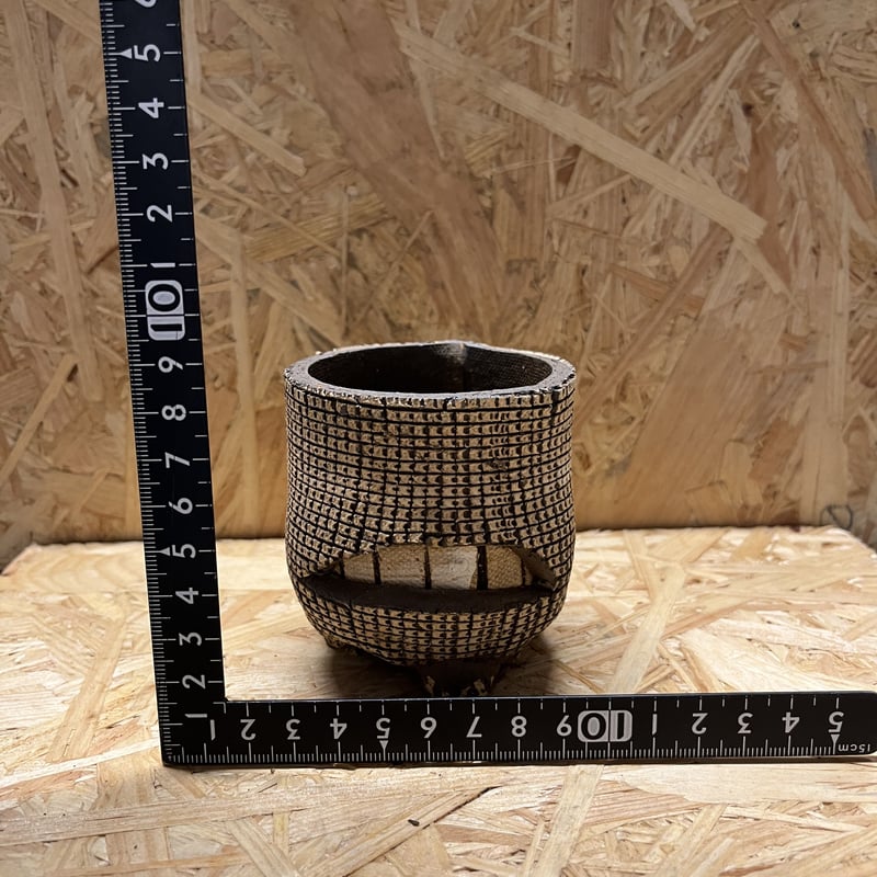 希少 新品 信楽焼 鉢COMWORK STUDIO コムワーク 陶器 塊根 希少BIG