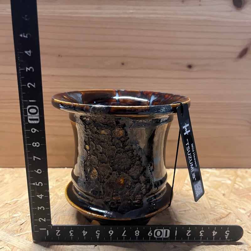大人気‼️希少‼️破格‼️ダークブラウン陶器の器〜闇の中へようこそ〜ver.2 楽天市場】みのる陶器【窯変SENDAN】225ディーププレート（φ22.5×H4cm