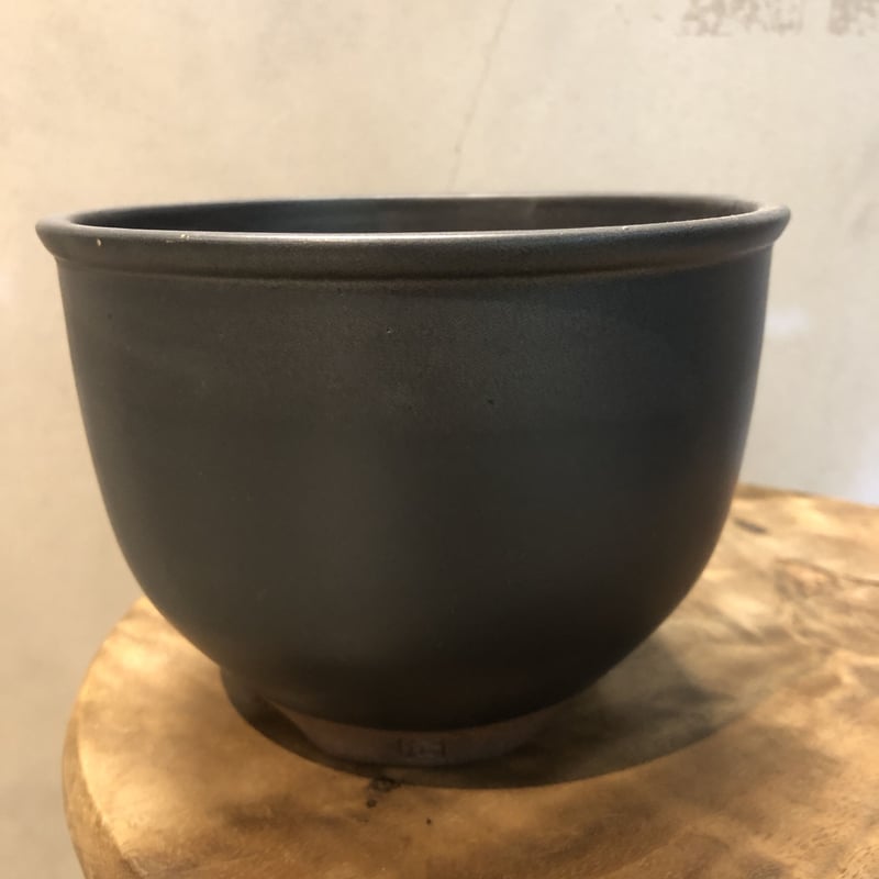 伝市鉢 コウロ型 サクラ草 5号 黒化粧 | GREEN LUCK