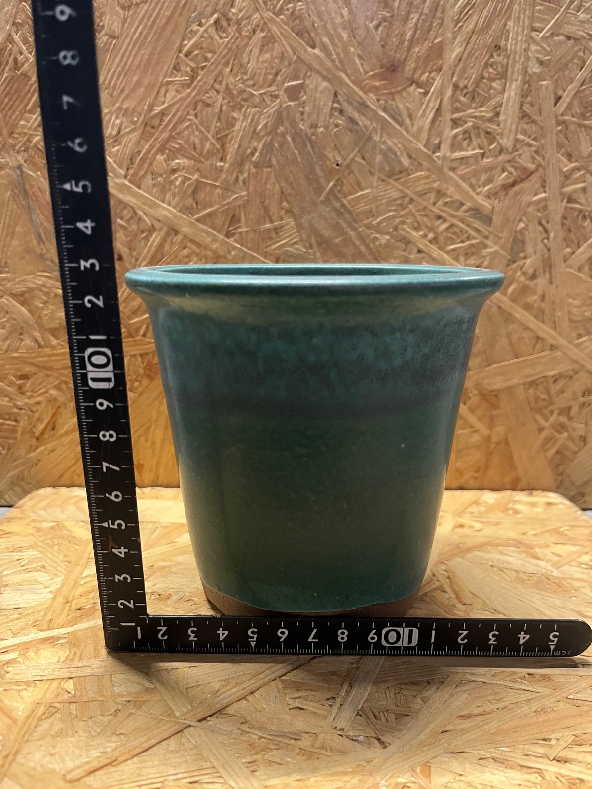 伝市鉢 型ラン 4号 青銅 | GREEN LUCK