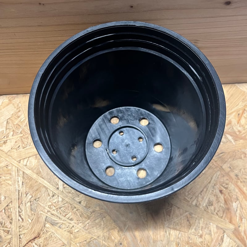 モスポール鉢 ポール付き ブラック | GREEN LUCK