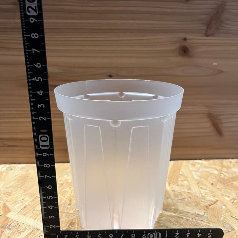 ネガミエル 透明スリット鉢 4号ロング | GREEN LUCK