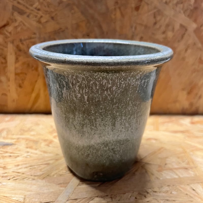 伝市鉢 型ラン型 3号 土灰 | GREEN LUCK
