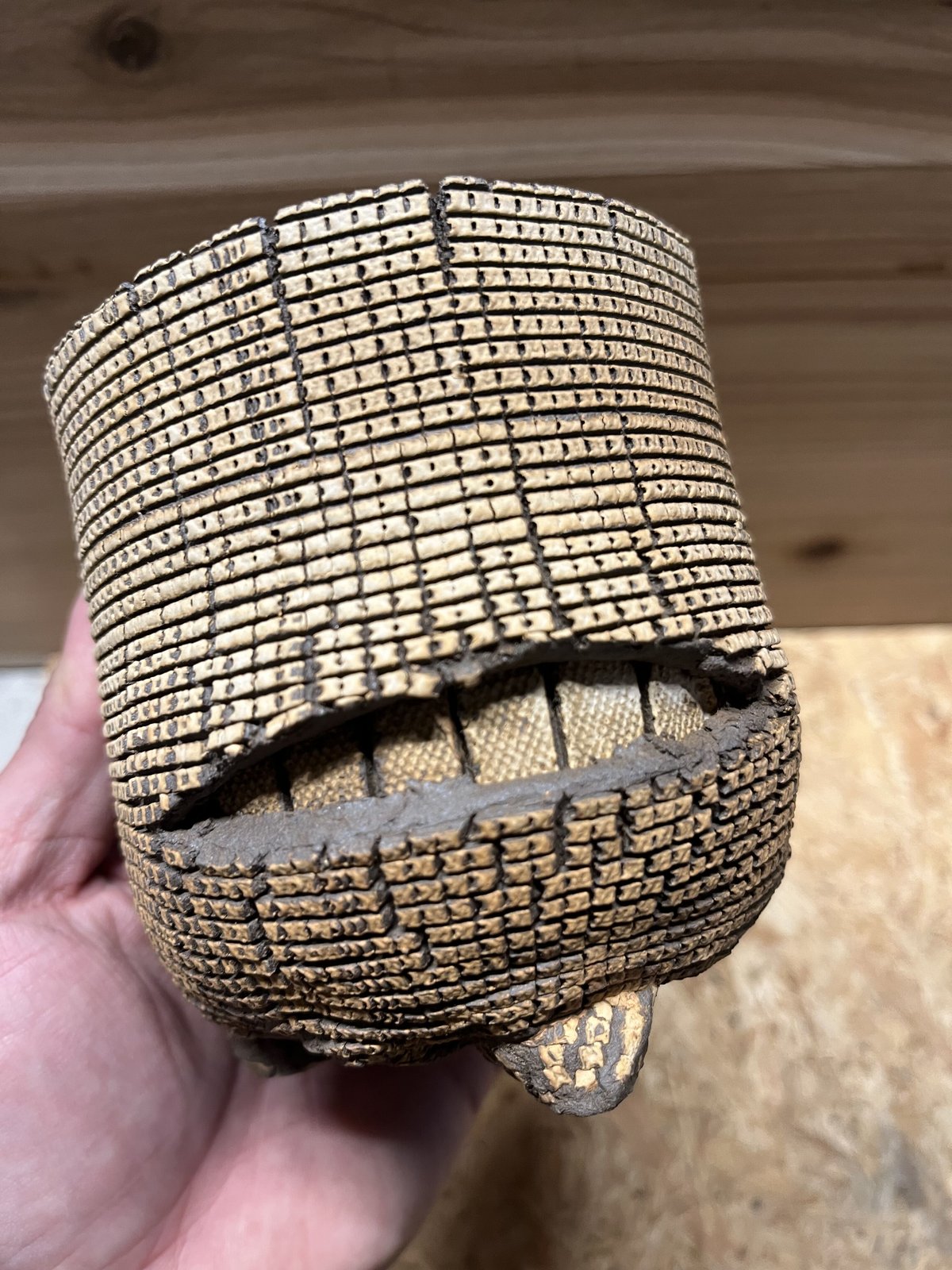 希少BIG 新品 信楽焼 鉢COMWORK STUDIO コムワーク 陶器 塊根 希少BIG 新品 信楽焼 鉢COMWORK STUDIO コムワーク 陶器 塊根