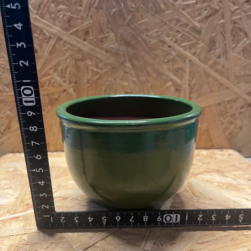 0708ー16550ーハシビロコウ様【32点】 fit=scale-down,w=1200